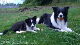 Jaimie_2014_div02.jpg