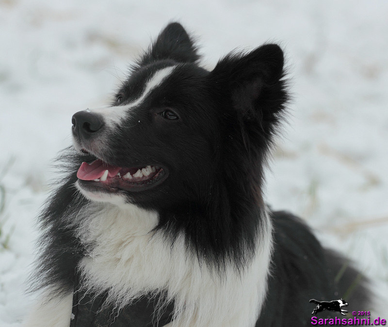 Bild "KURZ NOTIERT:Jaimie-laechelt.jpg"